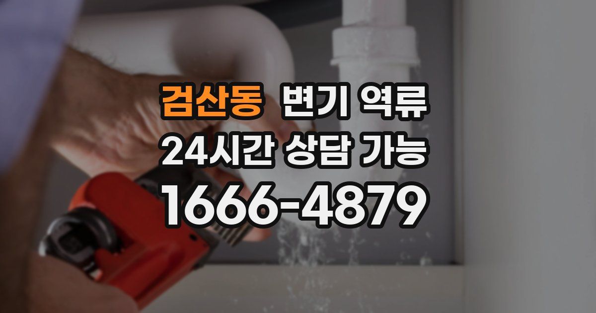 검산동 변기 역류