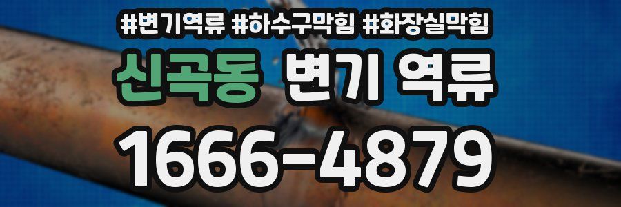 신곡동 변기 역류