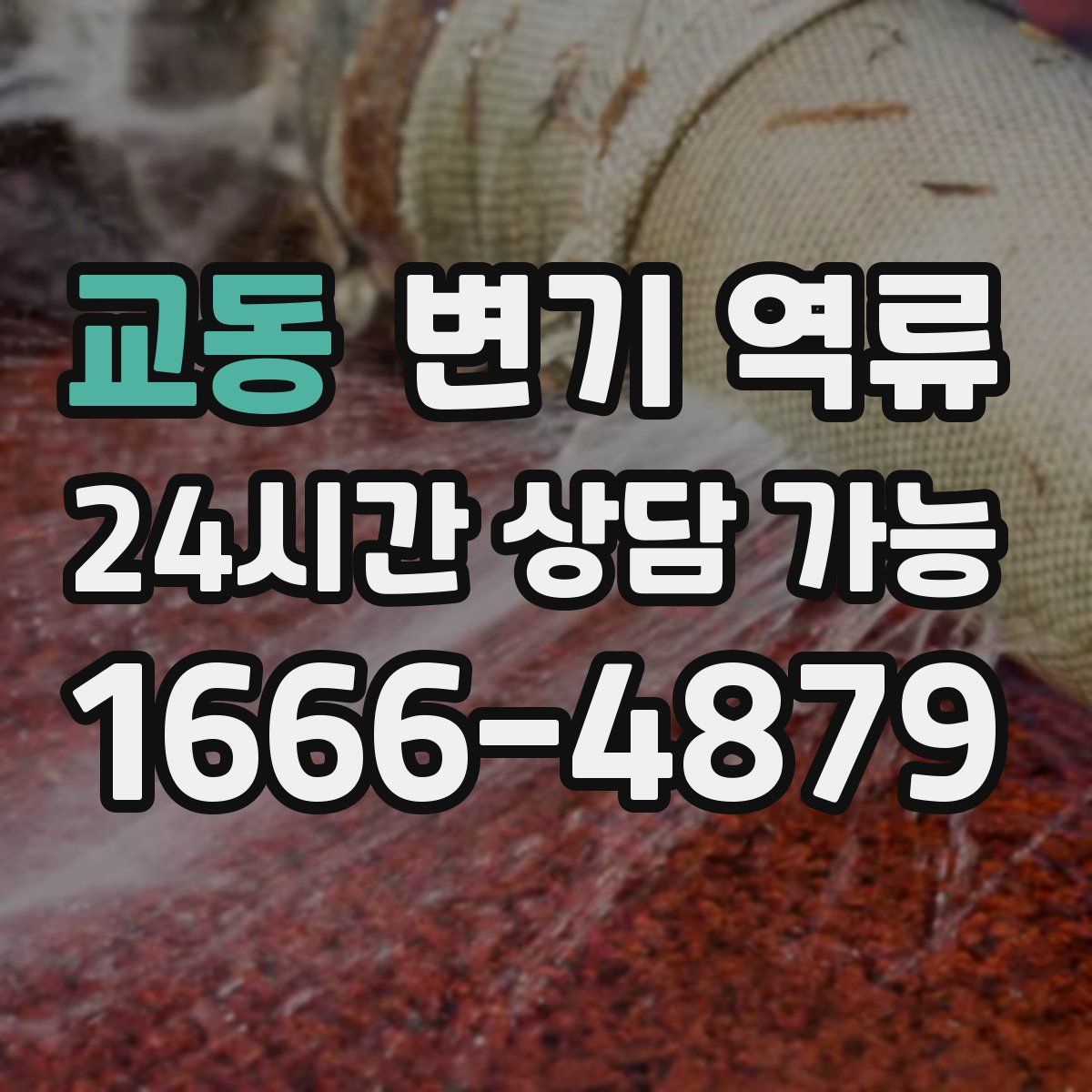 교동 변기 역류