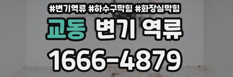 교동 변기 역류