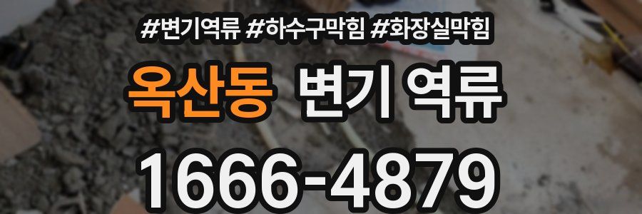 옥산동 변기 역류