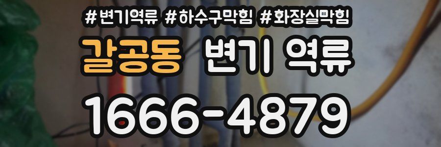 갈공동 변기 역류