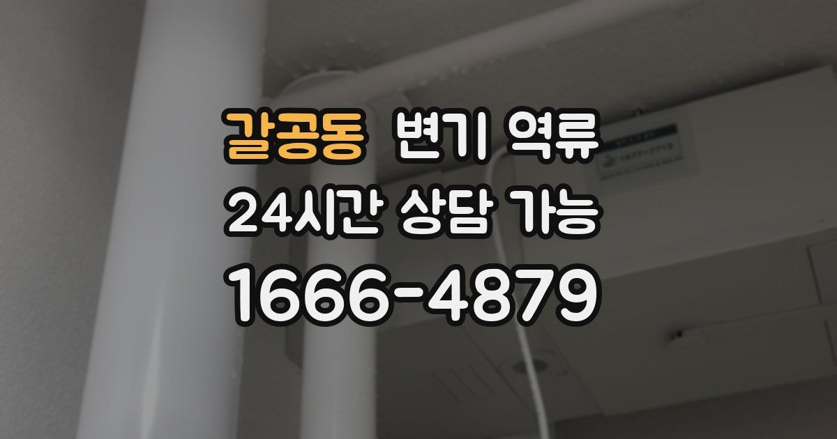 갈공동 변기 역류