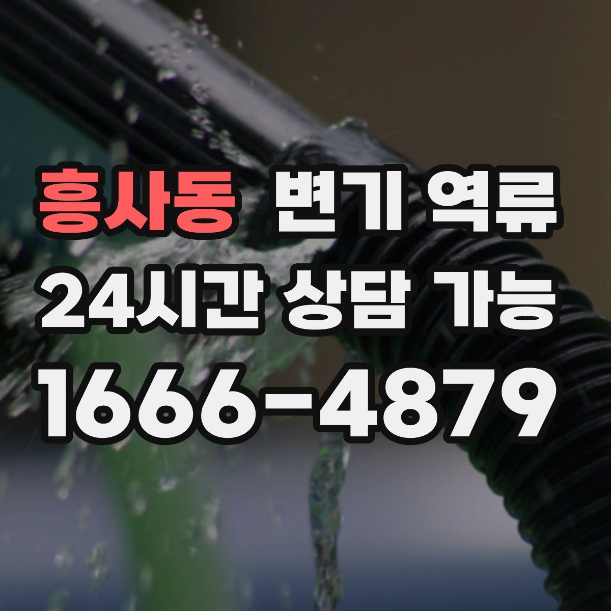 흥사동 변기 역류