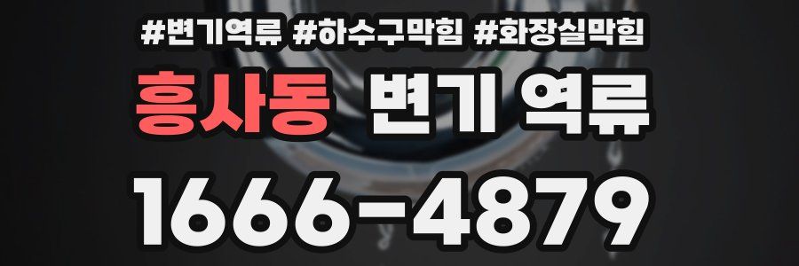 흥사동 변기 역류