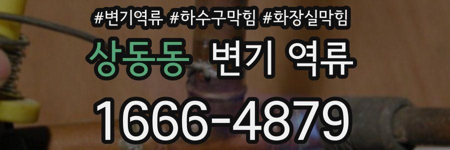 상동동 변기 역류