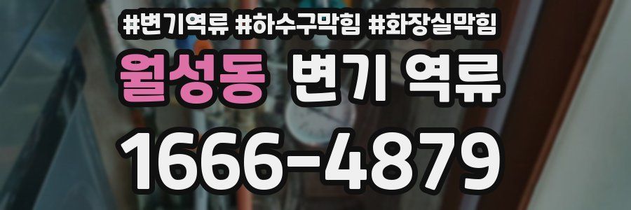 월성동 변기 역류