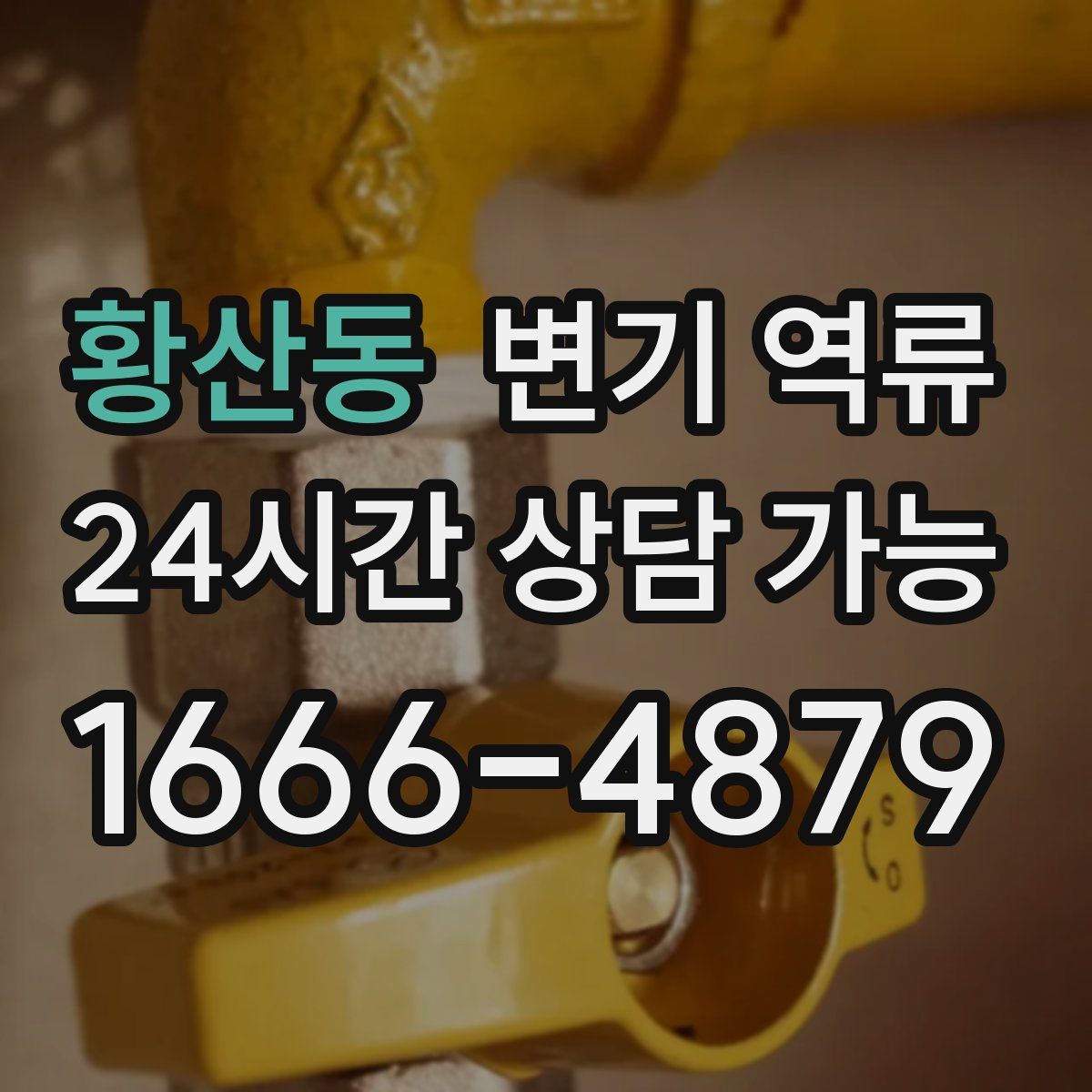 황산동 변기 역류