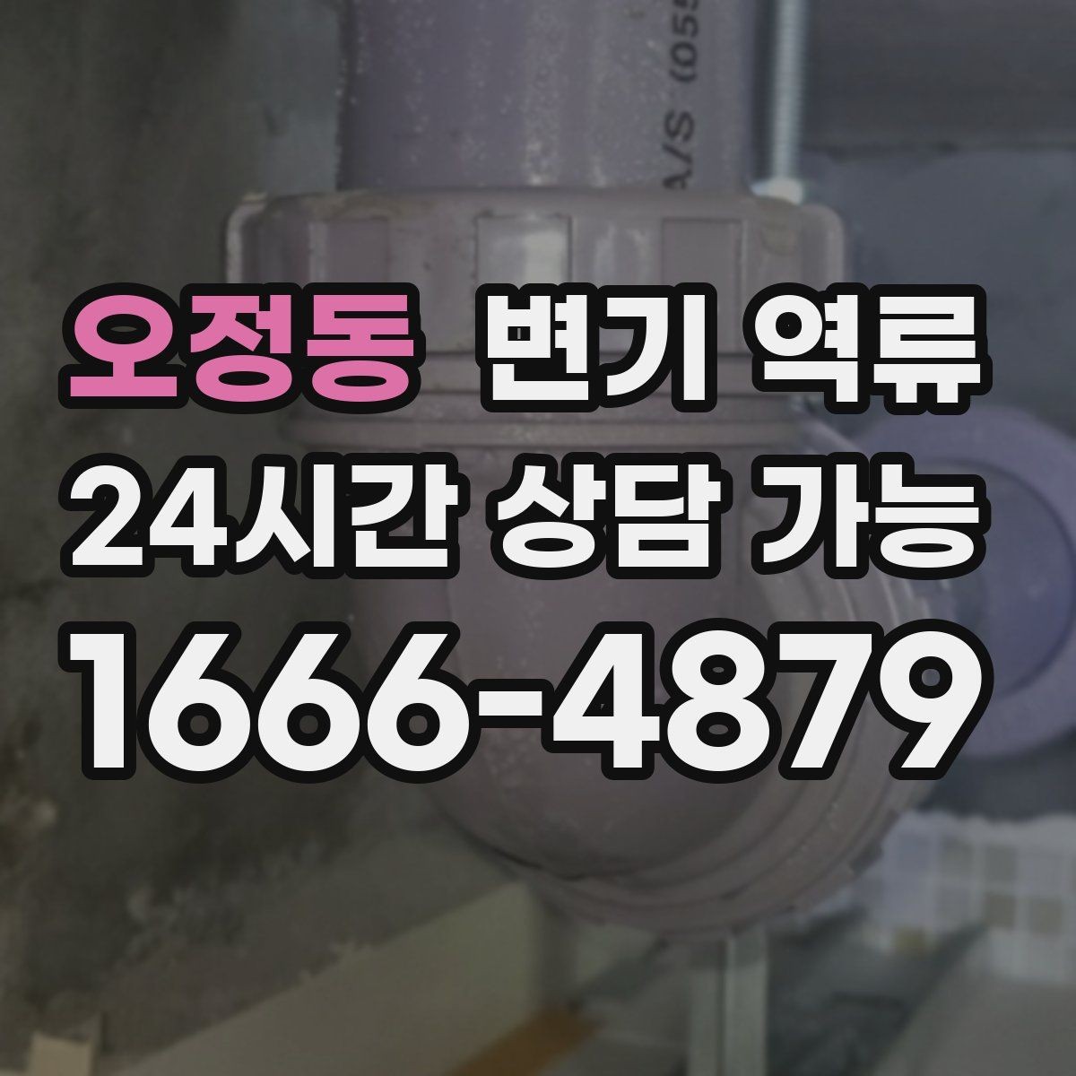 오정동 변기 역류 특정 변기만 반복되면 의심할 것