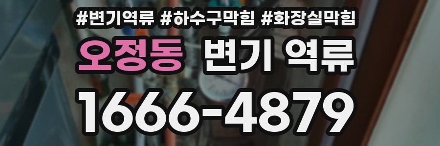 오정동 변기 역류