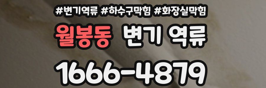 월봉동 변기 역류