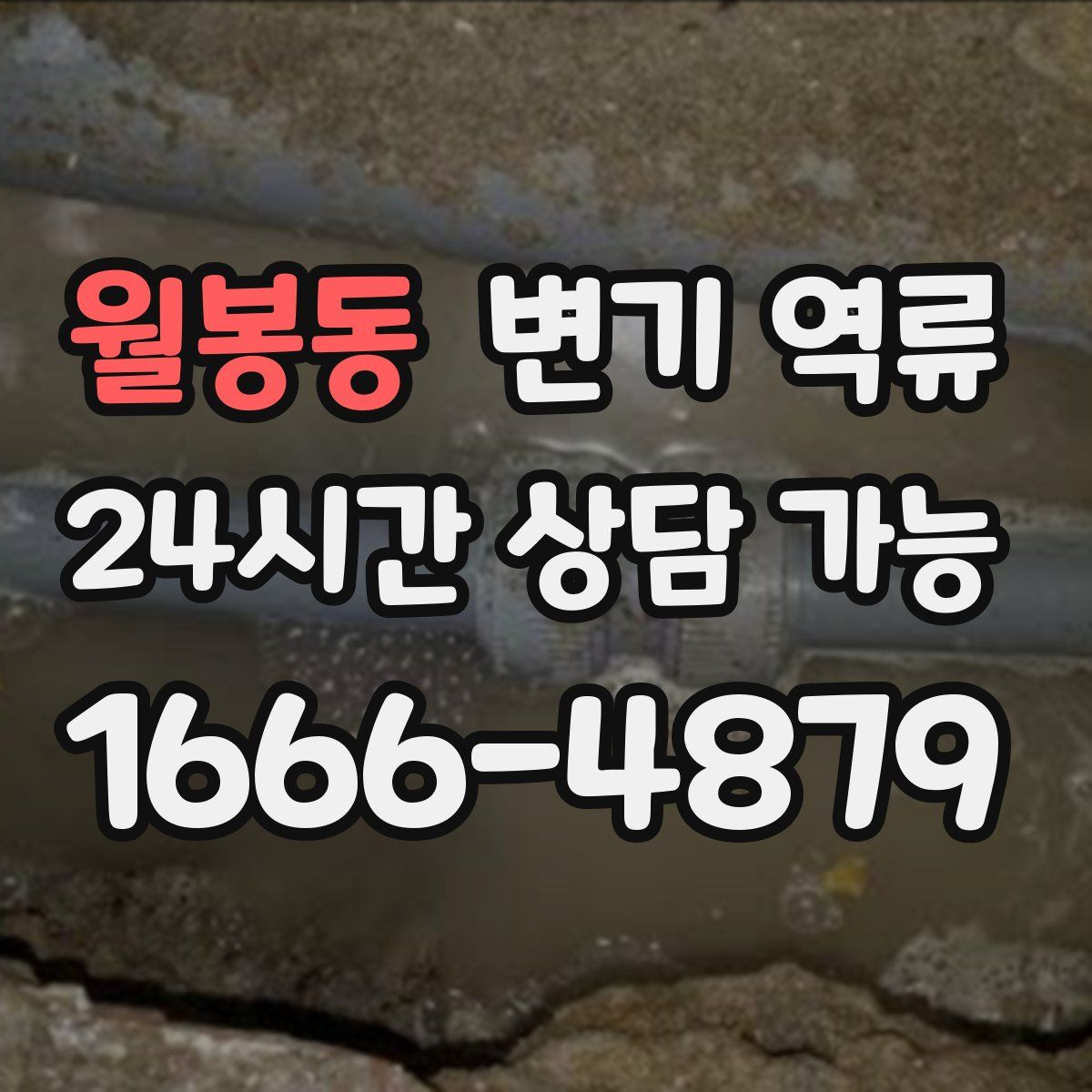 월봉동 변기 역류