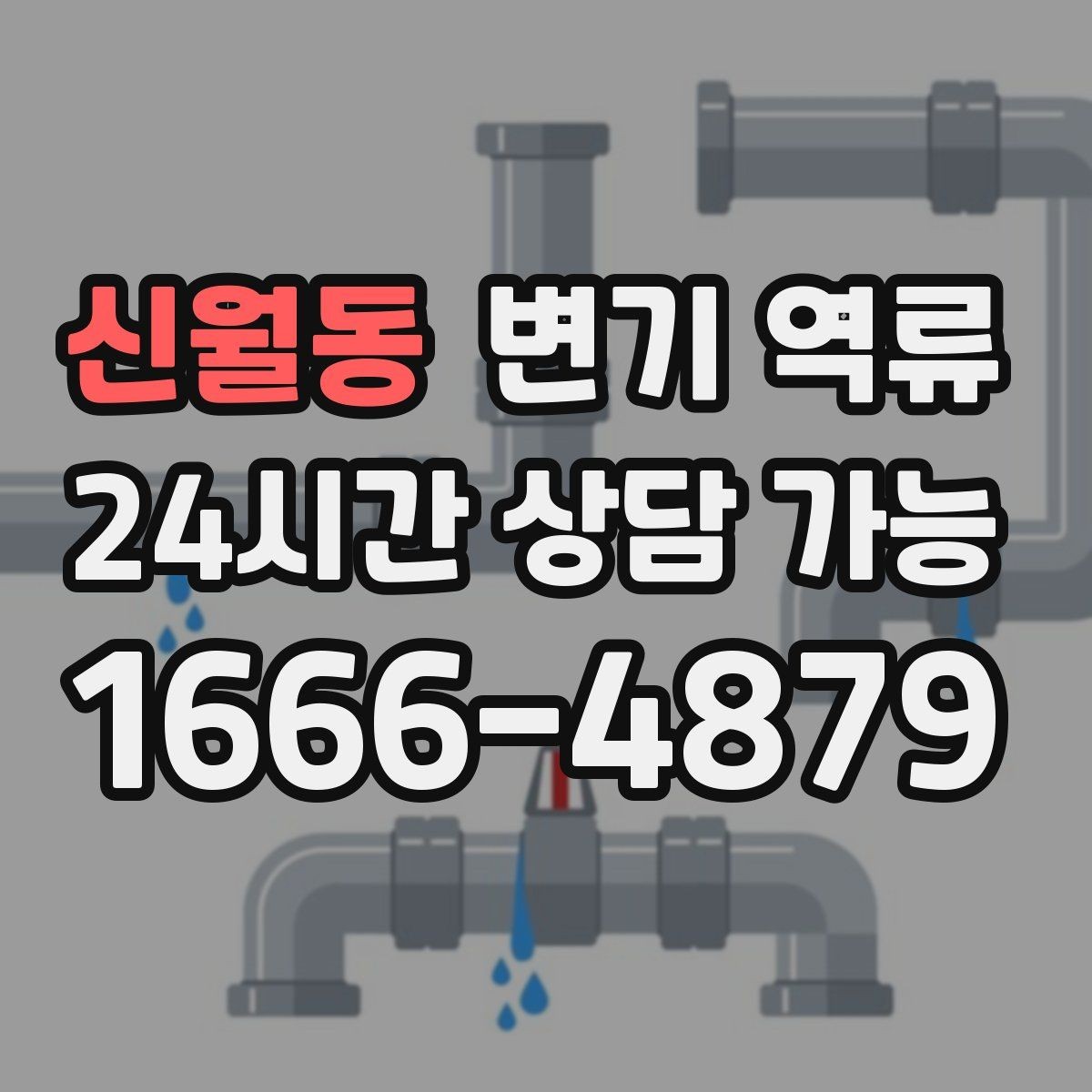 신월동 변기 역류 바닥 건조가 늦어지면 곰팡이가 생기는 이유