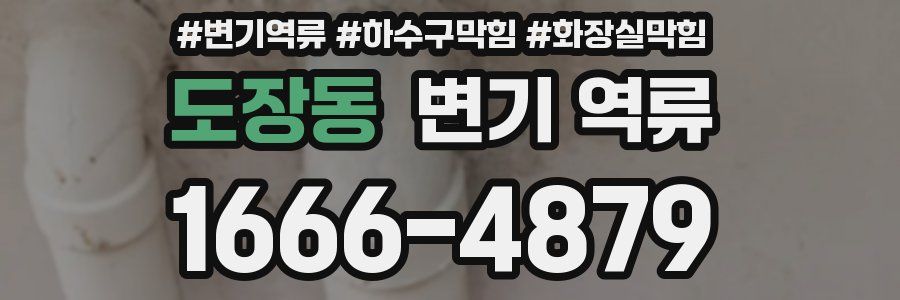 도장동 변기 역류
