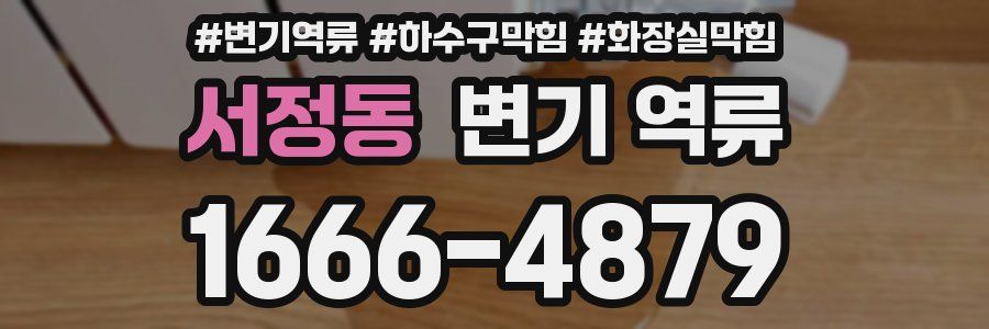 서정동 변기 역류