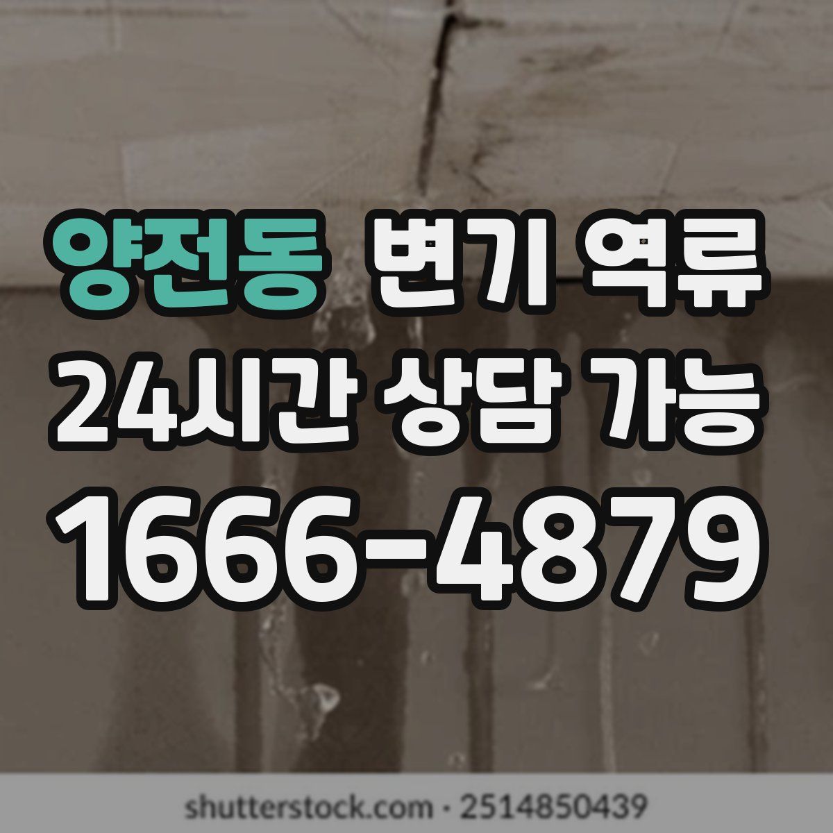 양전동 변기 역류