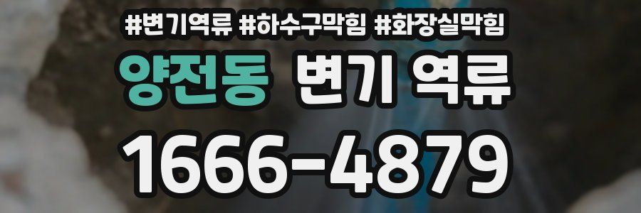양전동 변기 역류