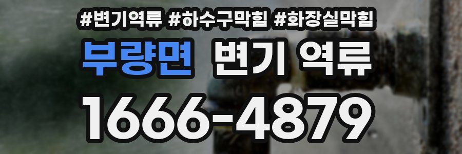 부량면 변기 역류