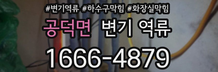 공덕면 변기 역류