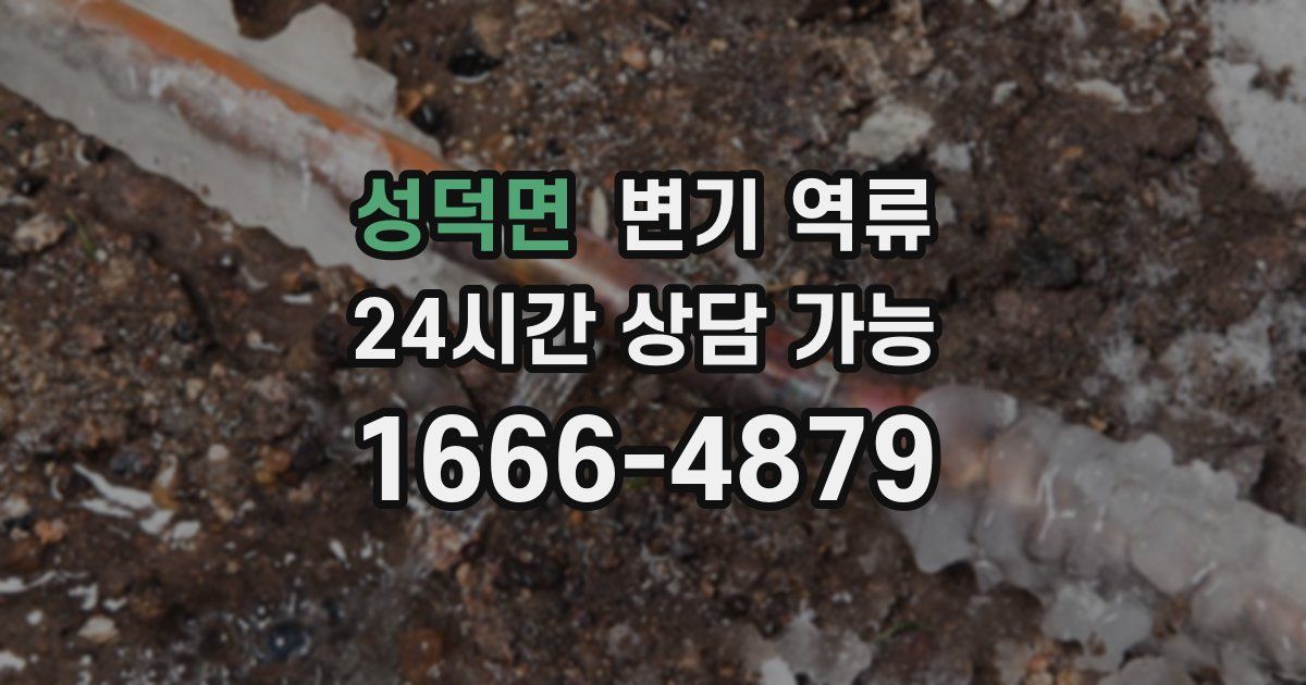 성덕면 변기 역류