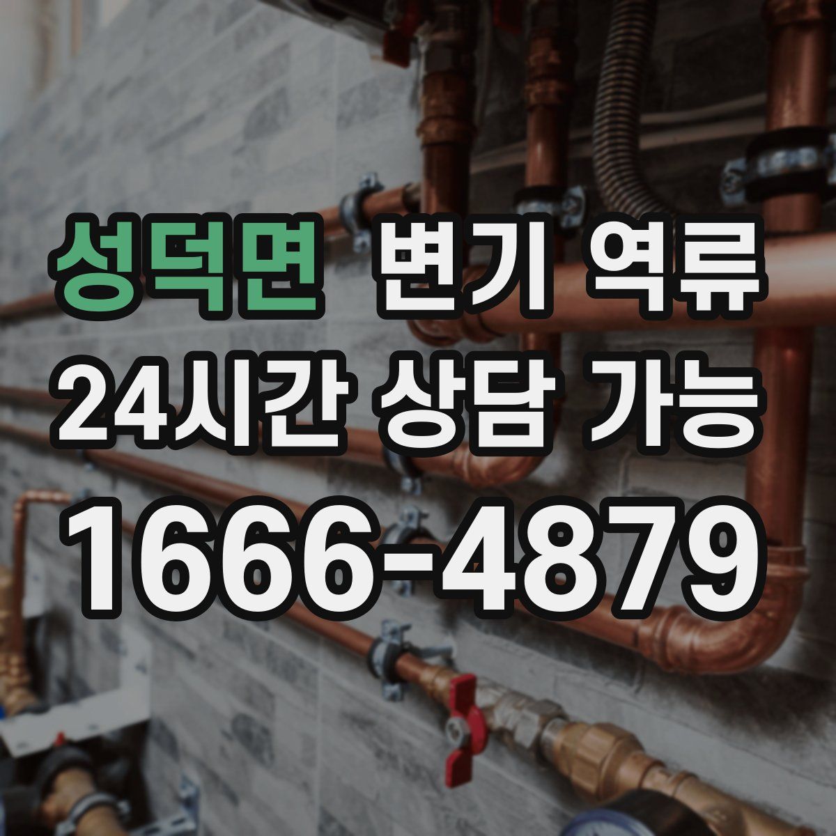 성덕면 변기 역류