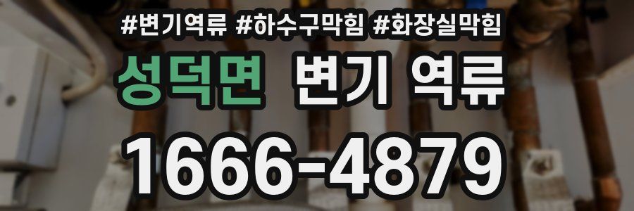 성덕면 변기 역류