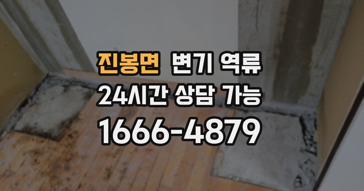 진봉면 변기 역류