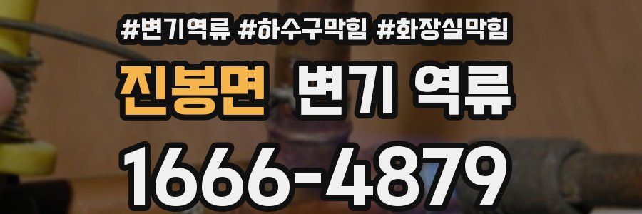 진봉면 변기 역류