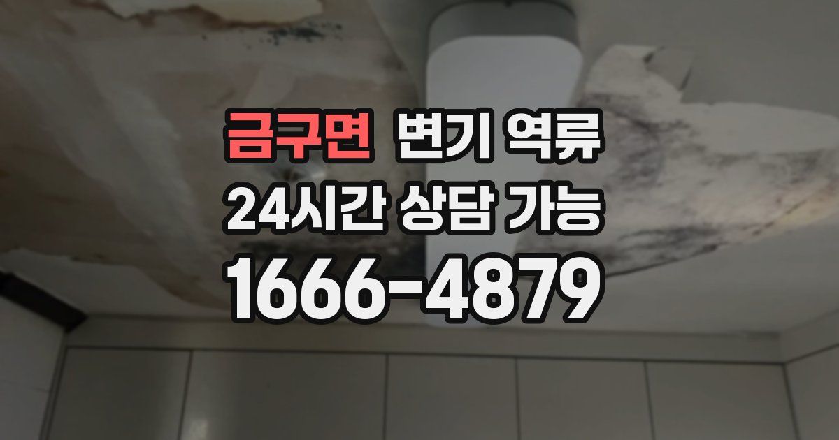 금구면 변기 역류