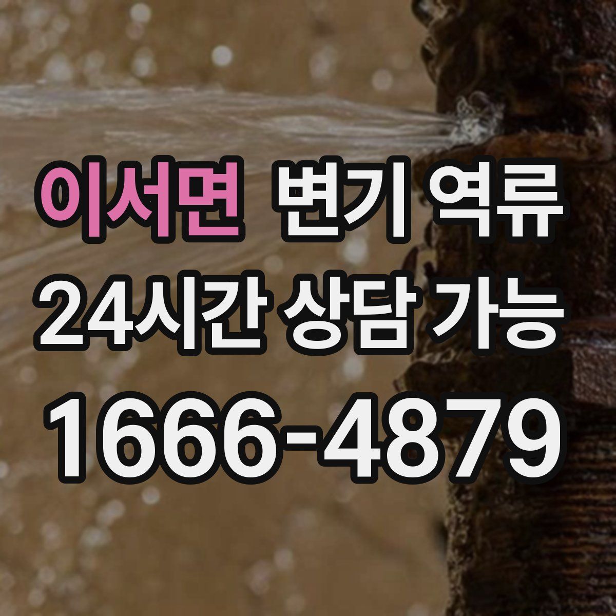 이서면 변기 역류