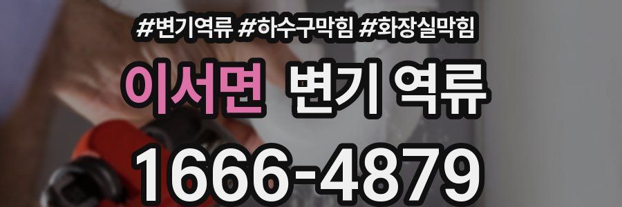 이서면 변기 역류