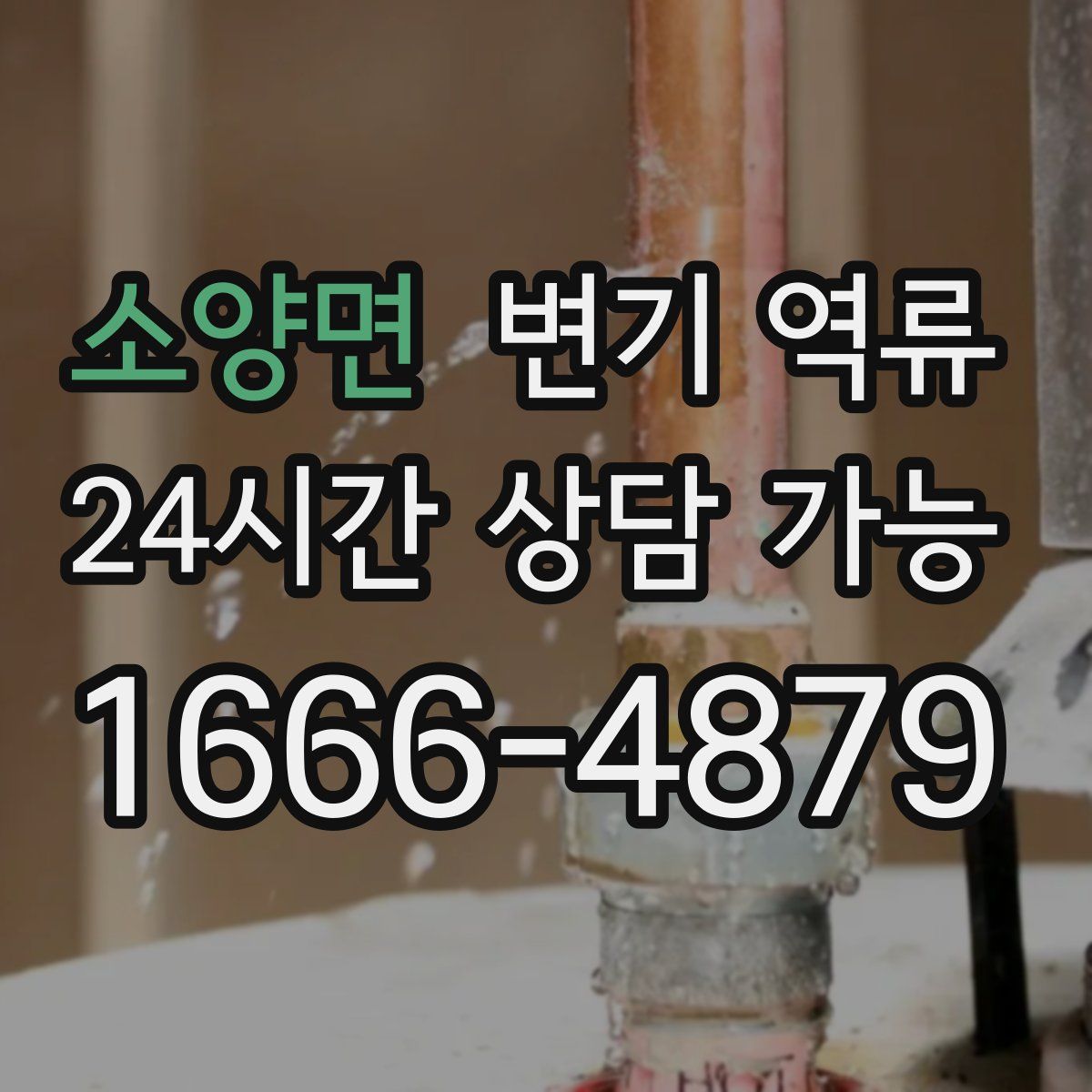 소양면 변기 역류