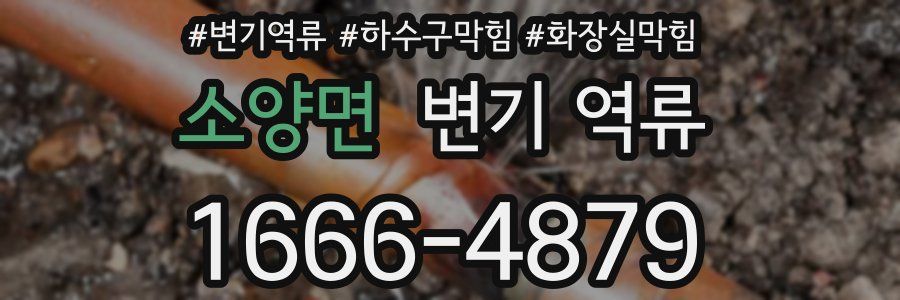 소양면 변기 역류