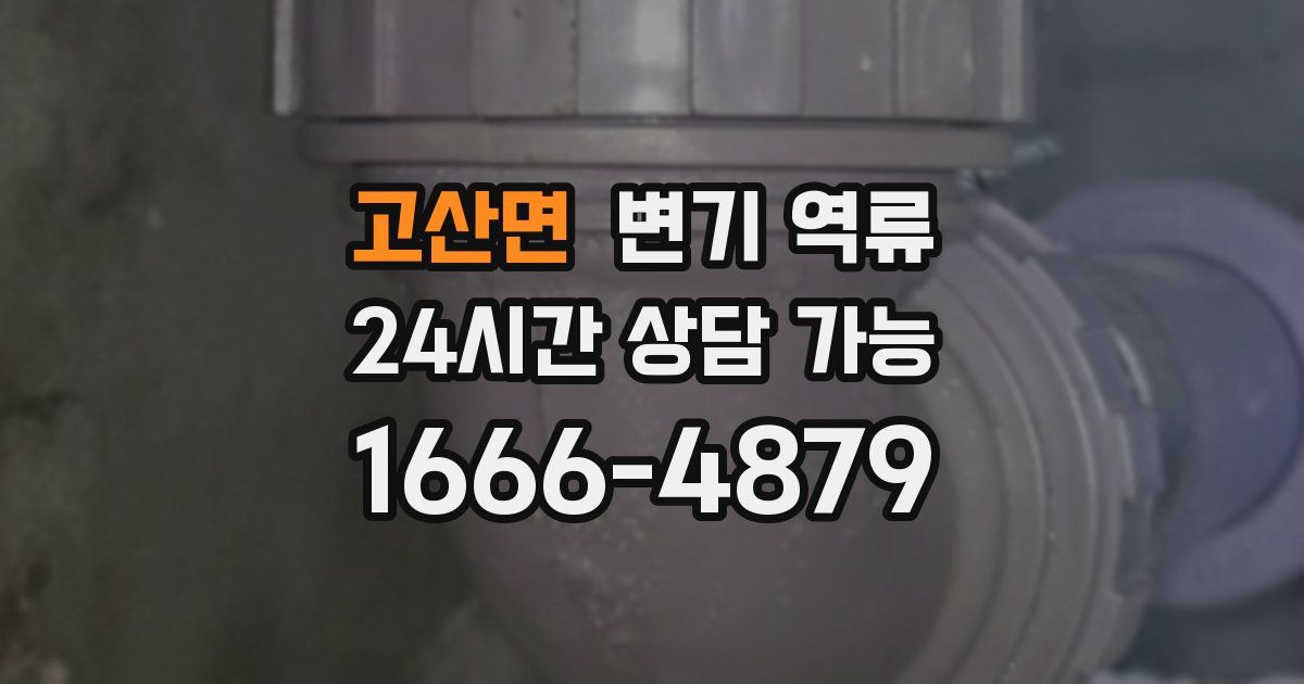 고산면 변기 역류