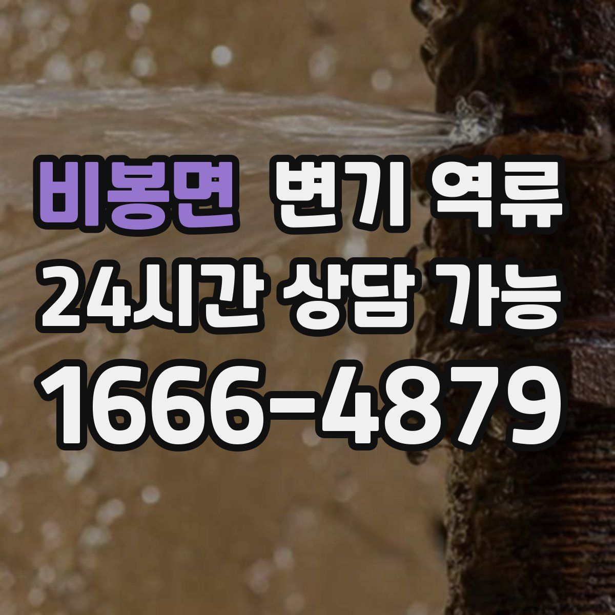 비봉면 변기 역류