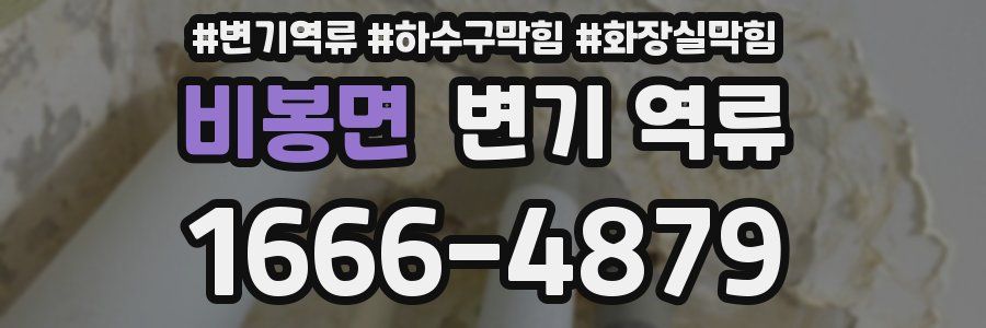 비봉면 변기 역류