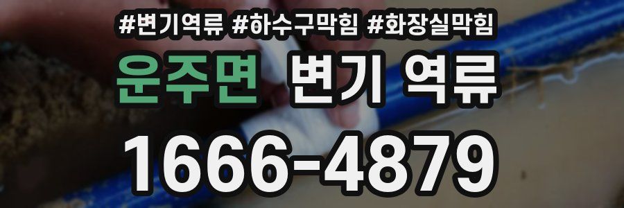 운주면 변기 역류