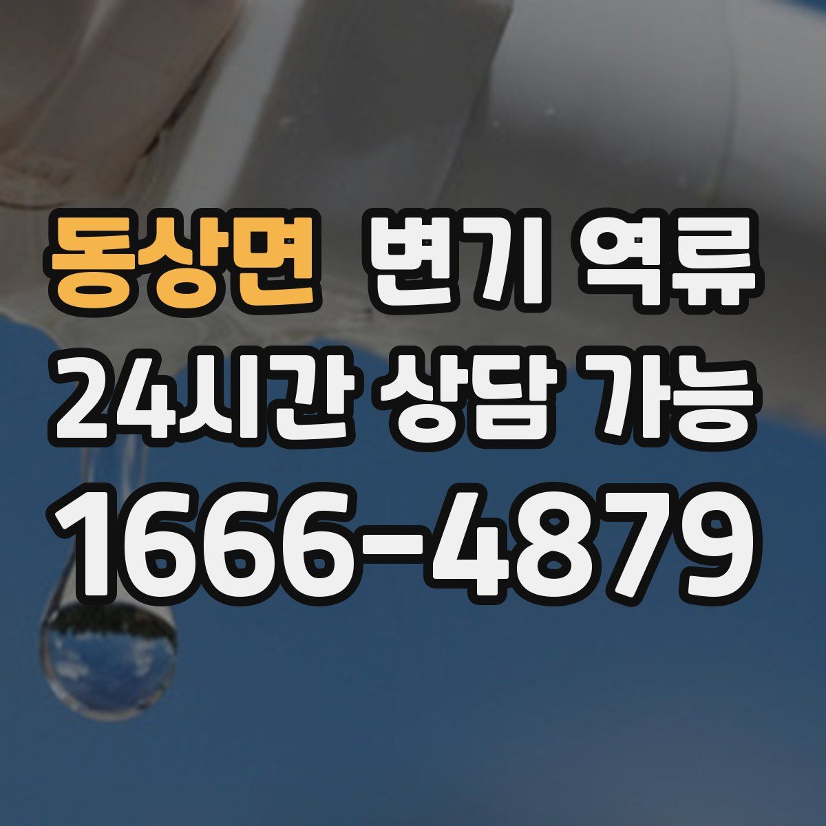 동상면 변기 역류