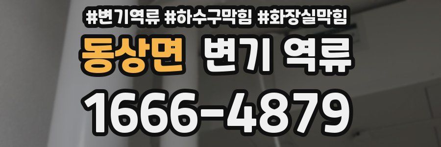 동상면 변기 역류