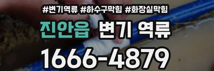 진안읍 변기 역류