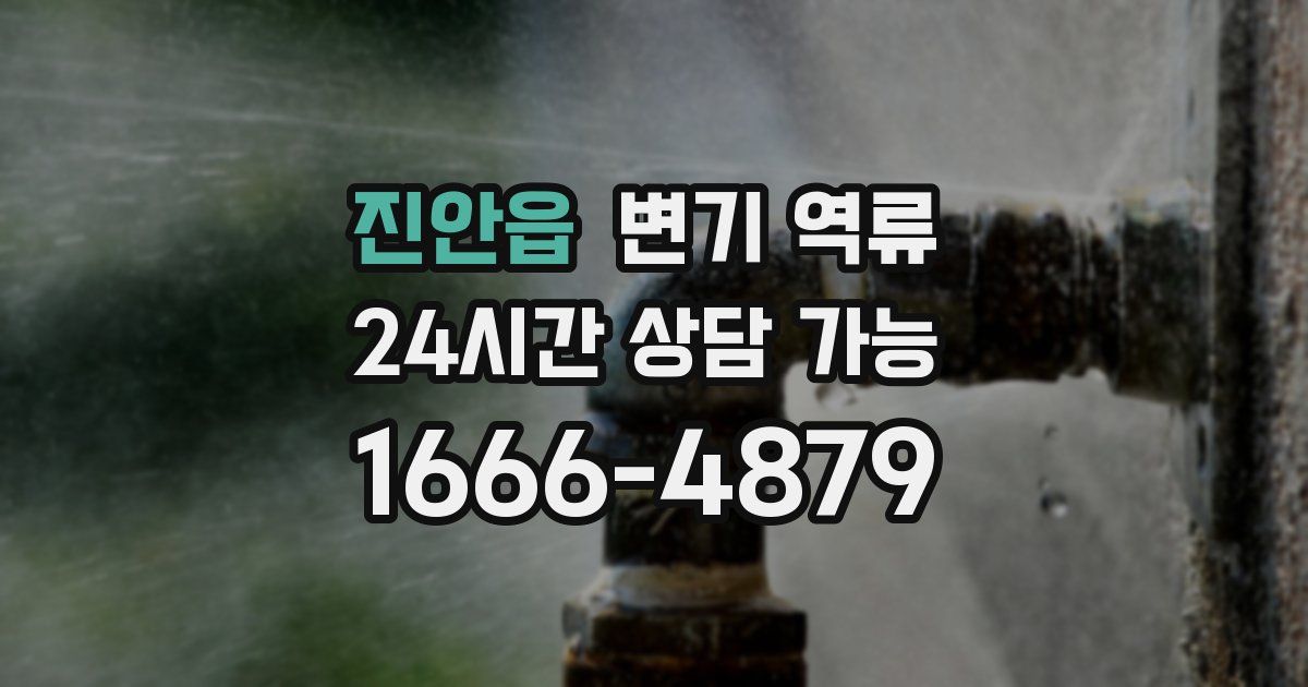 진안읍 변기 역류