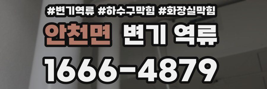 안천면 변기 역류