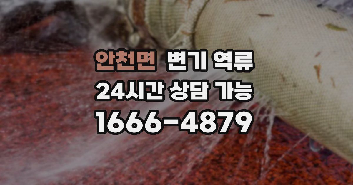 안천면 변기 역류