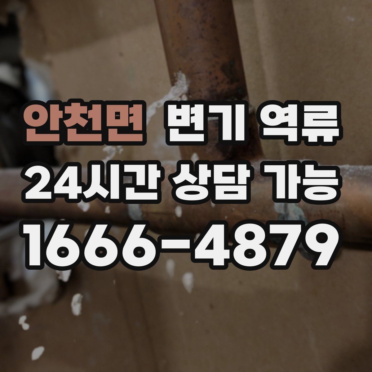 안천면 변기 역류