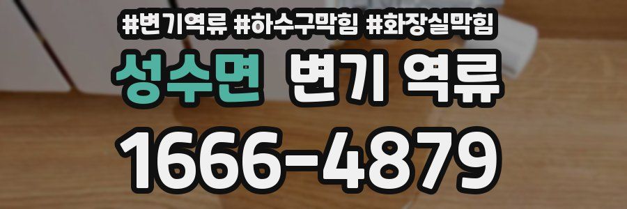 성수면 변기 역류