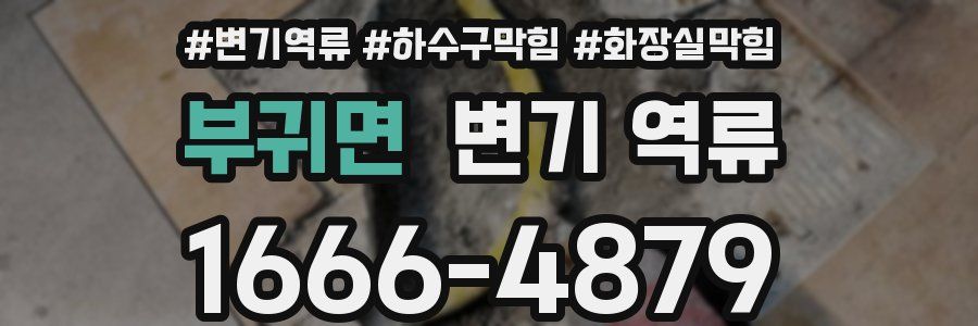 부귀면 변기 역류