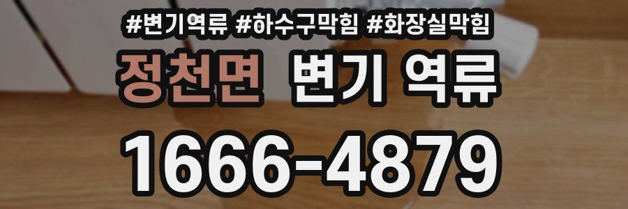 정천면 변기 역류