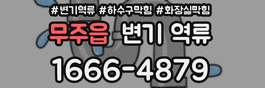 무주읍 변기 역류