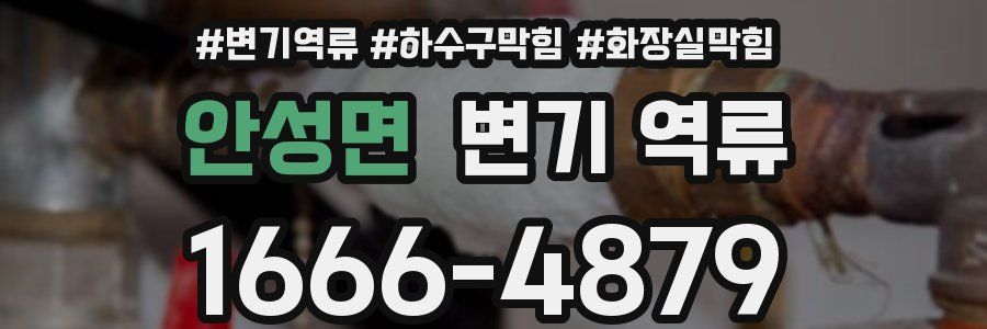 안성면 변기 역류