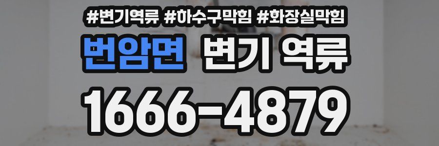 번암면 변기 역류